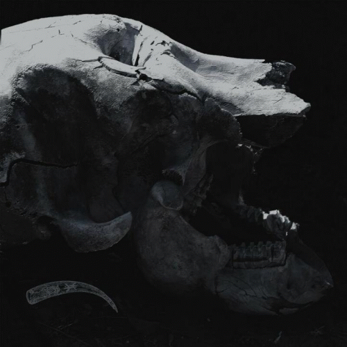 The Dark Alamorte : Tusk in the Abyss